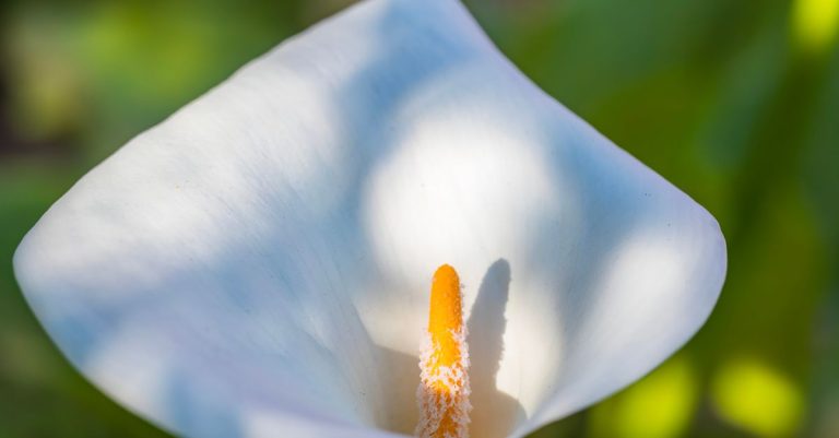 optimisez votre entonnoir de conversion pour augmenter vos taux de transformation et maximiser vos ventes grâce à des stratégies éprouvées et des outils performants.